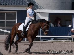 dsc9452-754